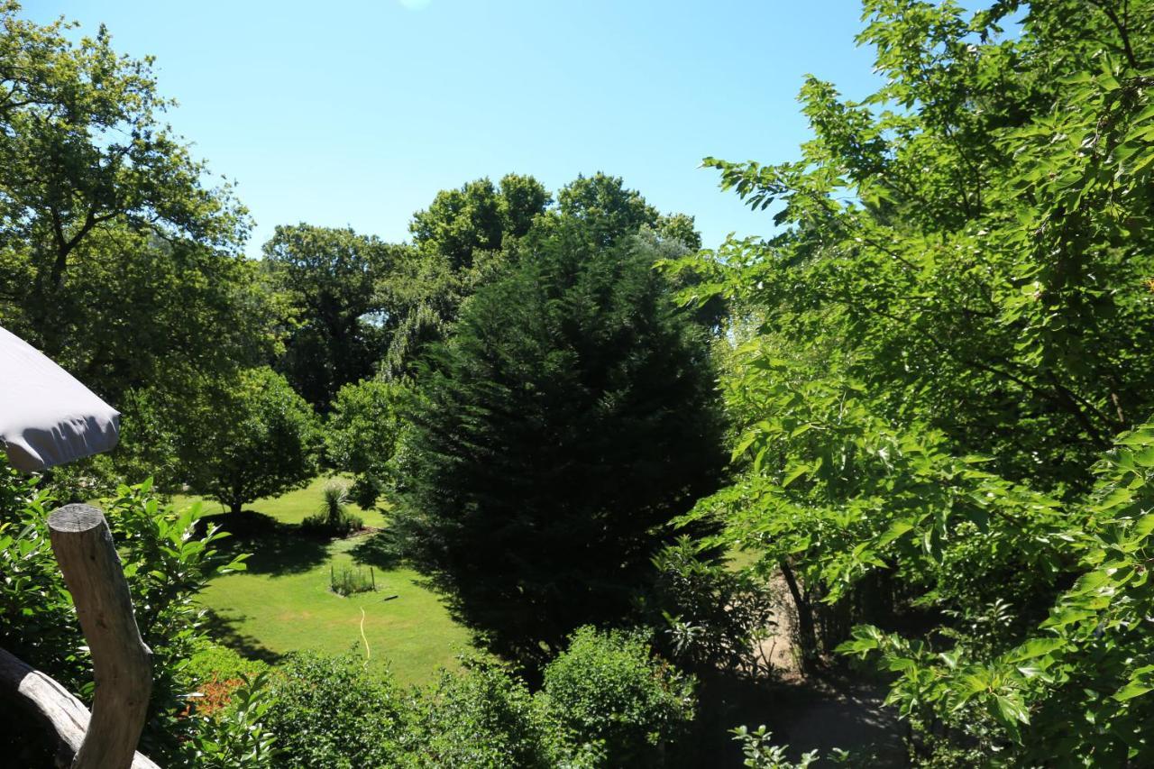 Le Pavillon Vert - B&B Vedène Buitenkant foto