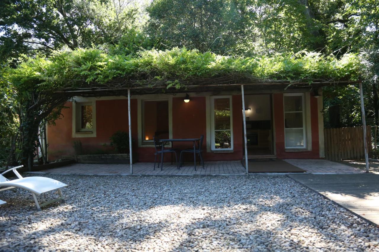 Le Pavillon Vert - B&B Vedène Buitenkant foto