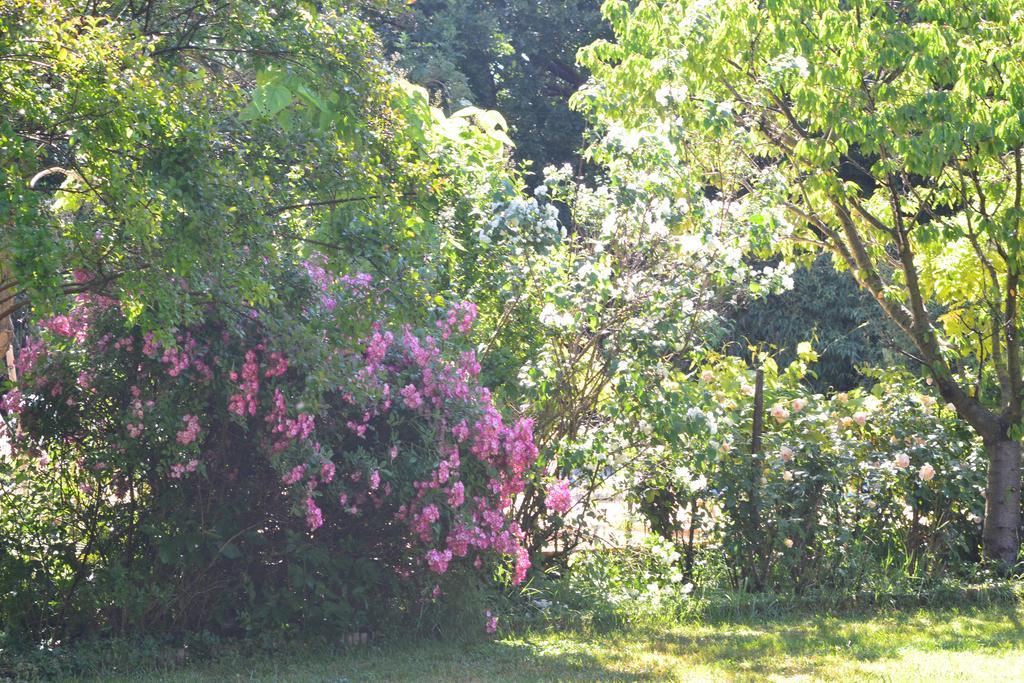 Le Pavillon Vert - B&B Vedène Buitenkant foto
