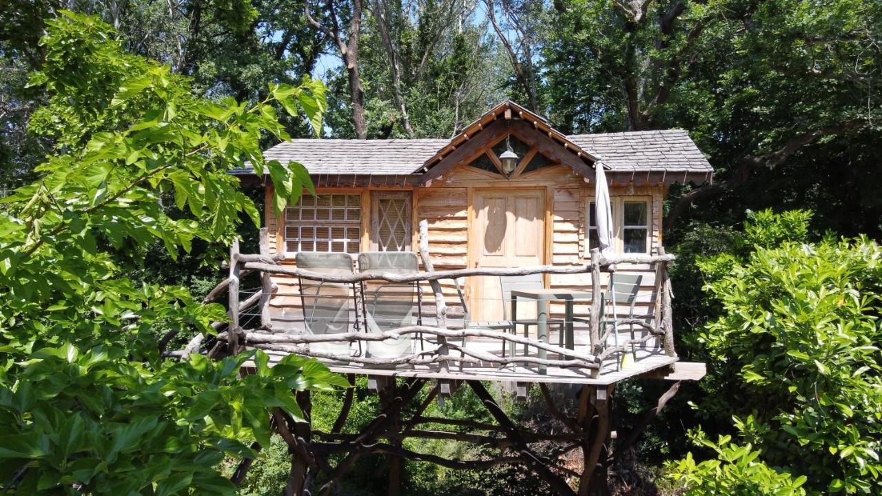Le Pavillon Vert - B&B Vedène Buitenkant foto